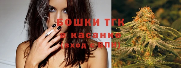 шишки Володарск