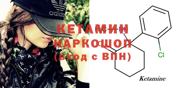шишки Володарск