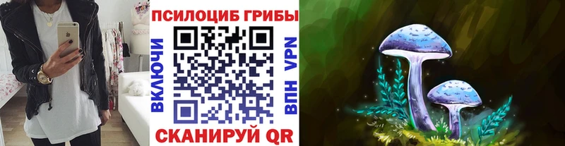 Псилоцибиновые грибы мухоморы  Купить  Топки 