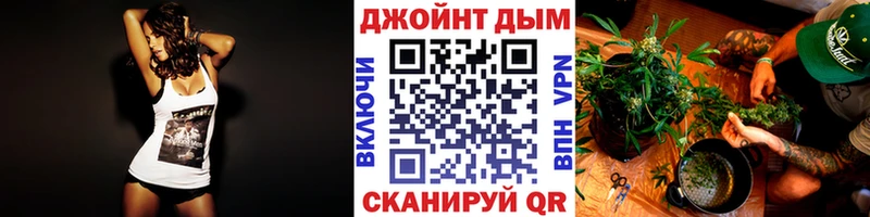 Бошки Шишки ГИДРОПОН  Купить где  Топки 